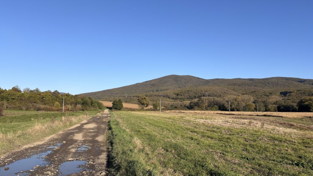 Nižná Myšľa, ku archeoskanzenu popri družstve.