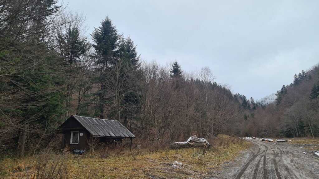 Porpi potoku Hrošov, smerom na Sedlo Priehyby, Čergov