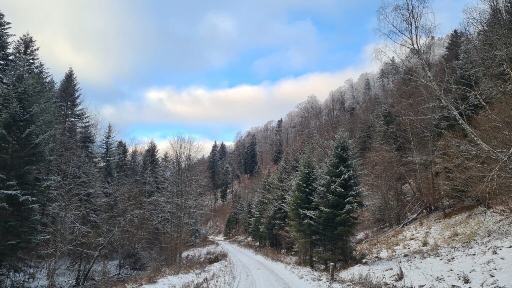 Dole dolinou z Ambrušoviec na Majdan, Čerrgov